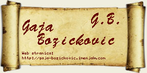 Gaja Božičković vizit kartica